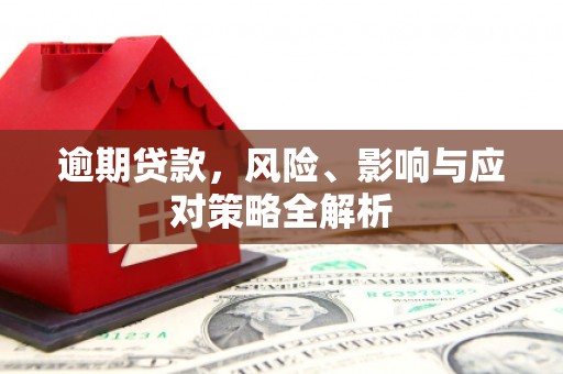 新郑逾期贷款，风险、影响与应对策略全解析