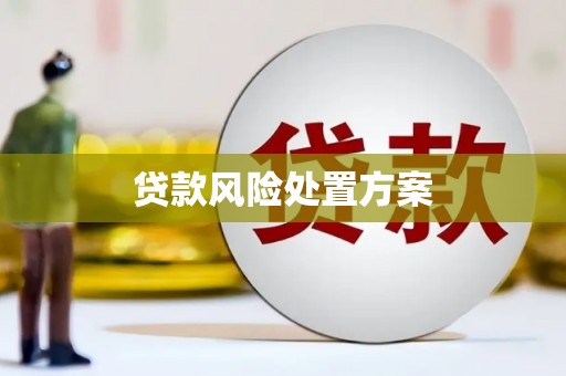 容县贷款风险处置方案