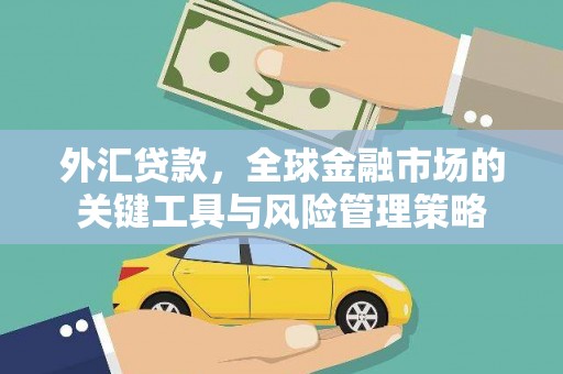 吉阳外汇贷款，全球金融市场的关键工具与风险管理策略