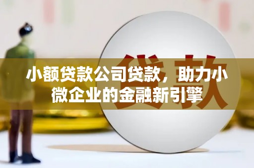 宿松小额贷款公司贷款，助力小微企业的金融新引擎