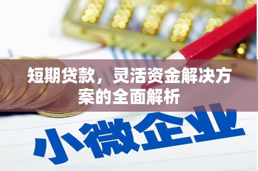 旬阳短期贷款，灵活资金解决方案的全面解析