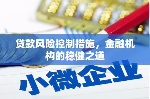 三亚贷款风险控制措施，金融机构的稳健之道
