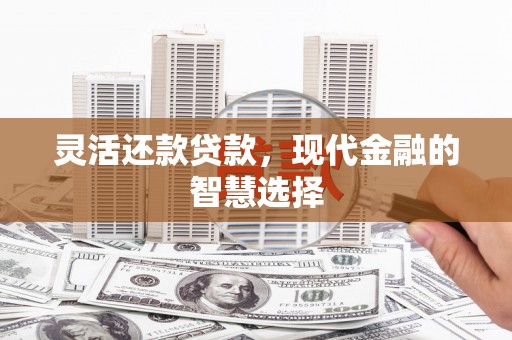 志丹灵活还款贷款，现代金融的智慧选择