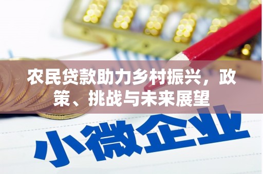 娄星农民贷款助力乡村振兴，政策、挑战与未来展望