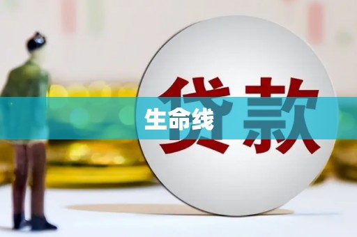 顺庆生命线