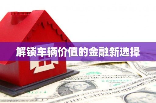 乐东解锁车辆价值的金融新选择
