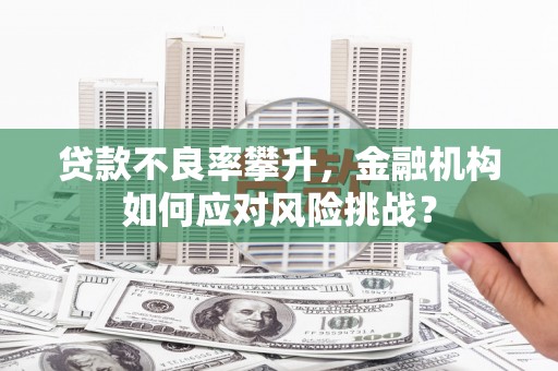 横峰贷款不良率攀升，金融机构如何应对风险挑战？