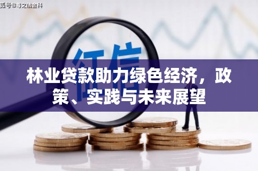 漠河林业贷款助力绿色经济，政策、实践与未来展望