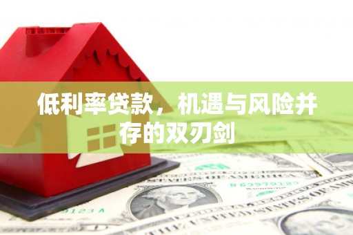 乐清低利率贷款，机遇与风险并存的双刃剑