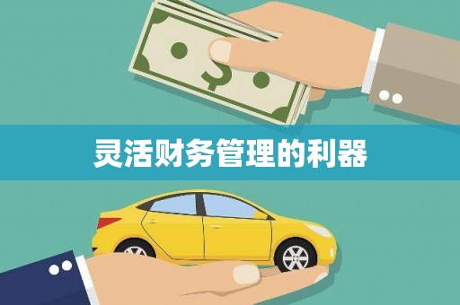 泾县灵活财务管理的利器