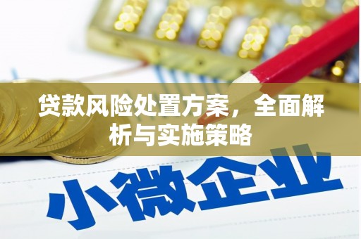 河池贷款风险处置方案，全面解析与实施策略