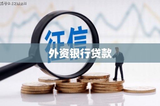 长垣外资银行贷款